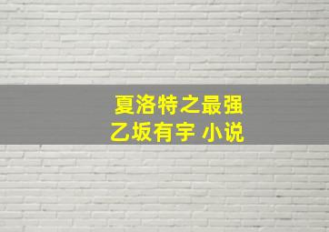 夏洛特之最强乙坂有宇 小说